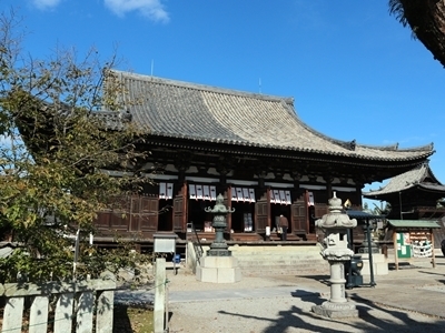 IMG_6774.JPG
