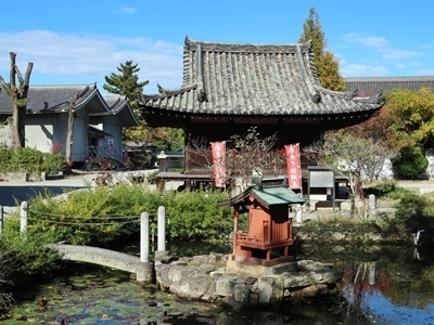 IMG_6785.JPG