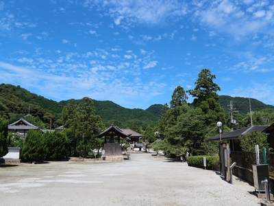 IMG_7133.JPG