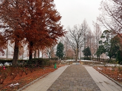 IMG_7418.JPG