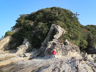 IMG_7684.JPG