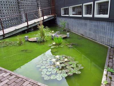 IMG_7776.jpg