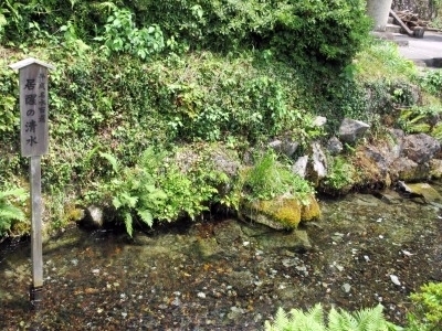 IMG_7987.jpg