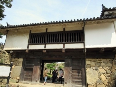 IMG_8008.jpg