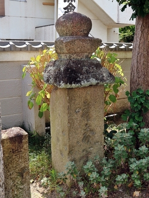IMG_8170.JPG