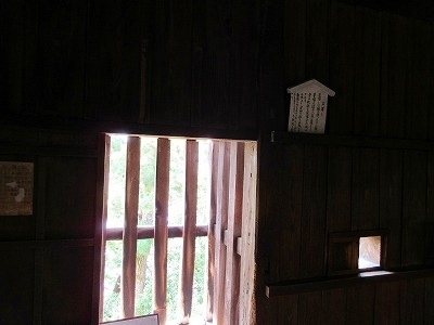 IMG_8284.jpg