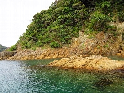 IMG_8430.jpg