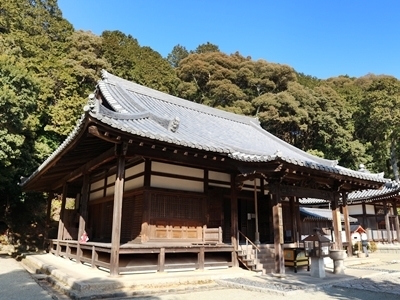 IMG_8620.JPG