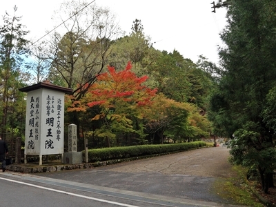 IMG_8645.JPG