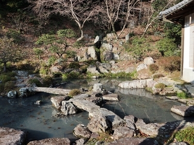 IMG_8906.JPG