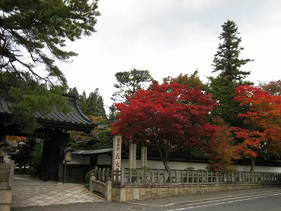 IMG_9321.jpg