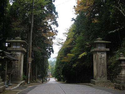 IMG_9356.jpg