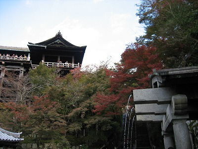 IMG_9552.jpg