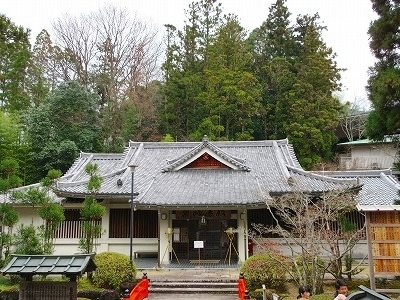 IMG_9558.jpg