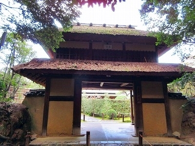 IMG_9606.jpg