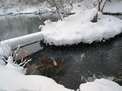 IMG_9637.jpg