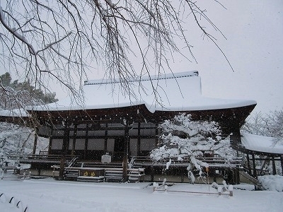 IMG_9645.jpg