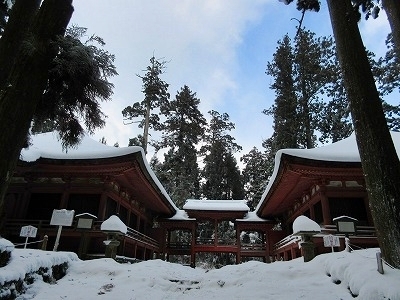 IMG_9775.jpg
