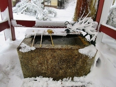 IMG_9779.jpg