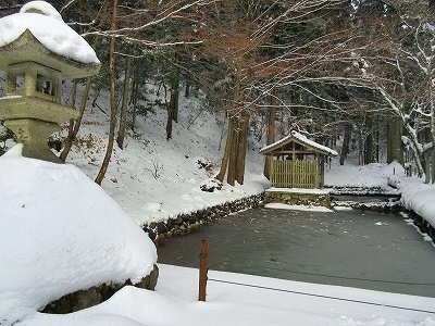 IMG_9789.jpg