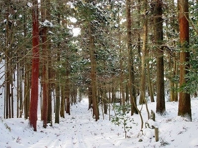 IMG_9791.jpg