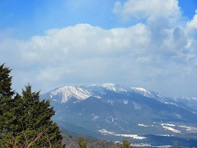 IMG_9802.jpg