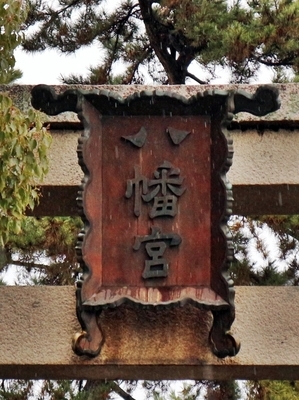 IMG_9932.JPG