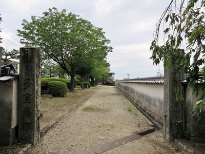 IMG_9958.JPG