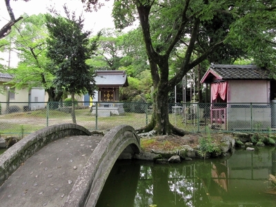 IMG_9959.JPG