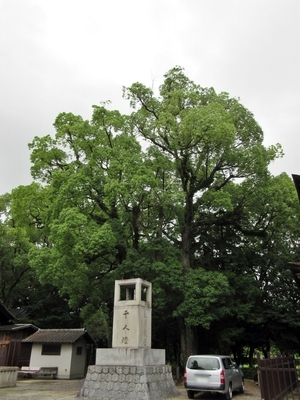 IMG_9971.JPG