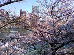 TS3P0495.jpg