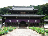 s-IMG_7996.jpg