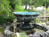 s-IMG_8000.jpg