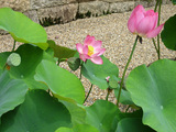 s-IMG_8001.jpg