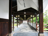 s-IMG_8003.jpg